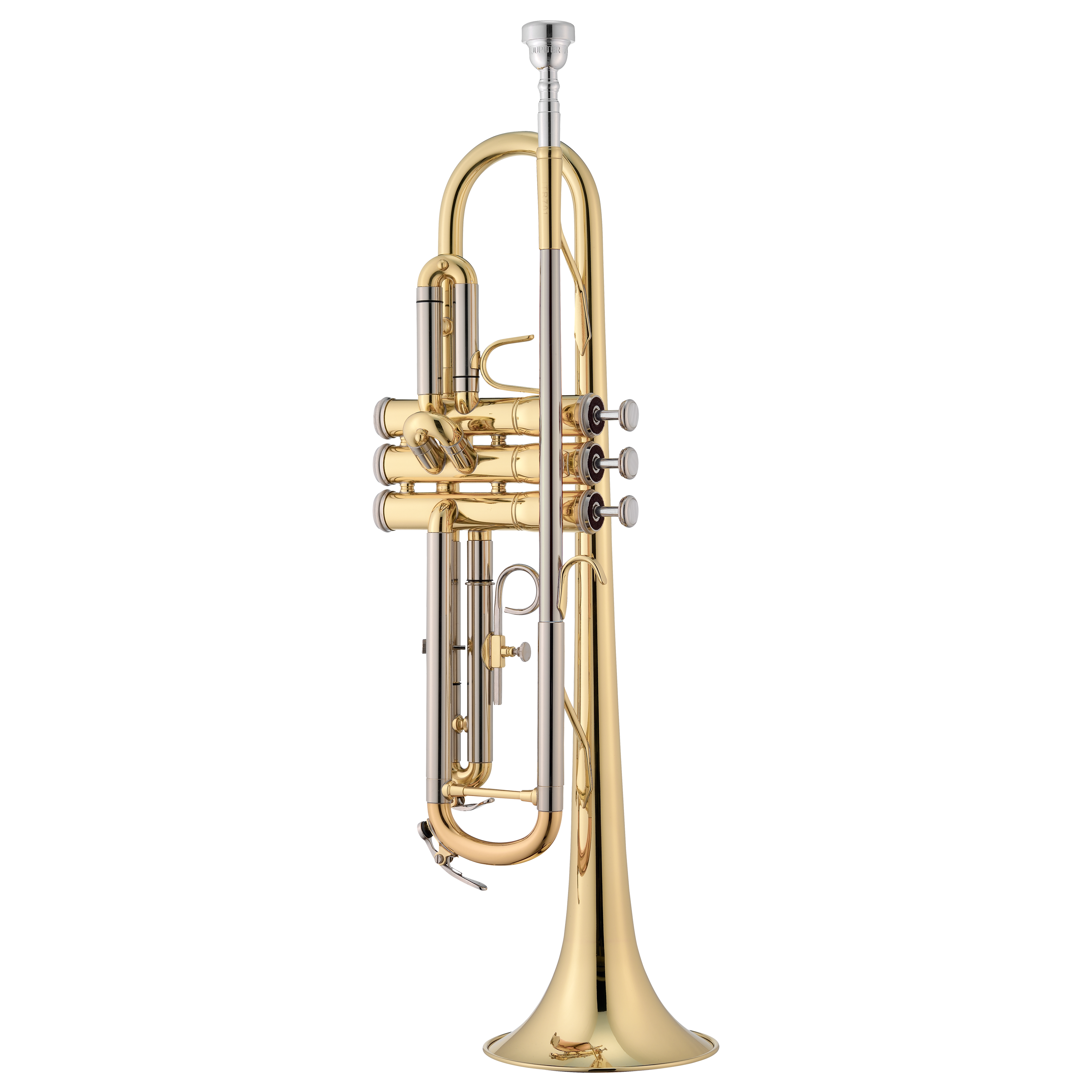 出産祝い JTR701Q_web_original_0cecaa97.png 管楽器・吹奏楽器